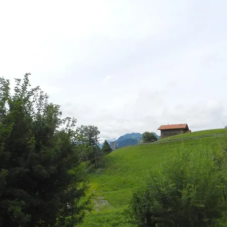 Graebi Appartement-fewo- Dusche Und Bad- Wc 8-bettwohnung By Interhome * Gstaad