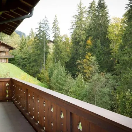 Graebi Appartement-fewo- Dusche Und Bad- Wc 8-bettwohnung By Interhome Apartment Gstaad