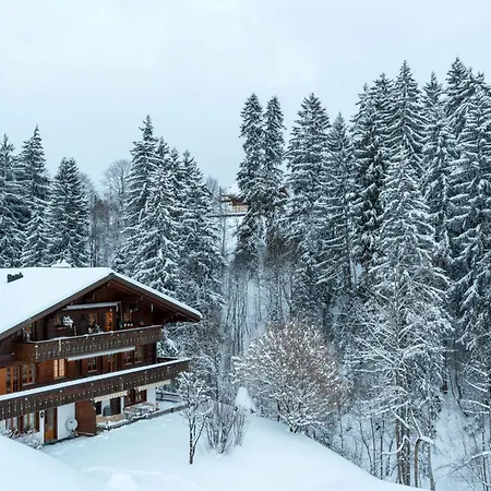 Graebi Appartement-fewo- Dusche Und Bad- Wc 8-bettwohnung By Interhome Gstaad