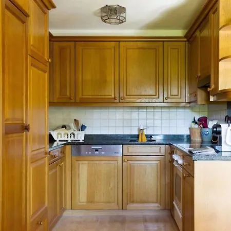 Graebi Appartement-fewo- Dusche Und Bad- Wc 8-bettwohnung By Interhome Gstaad